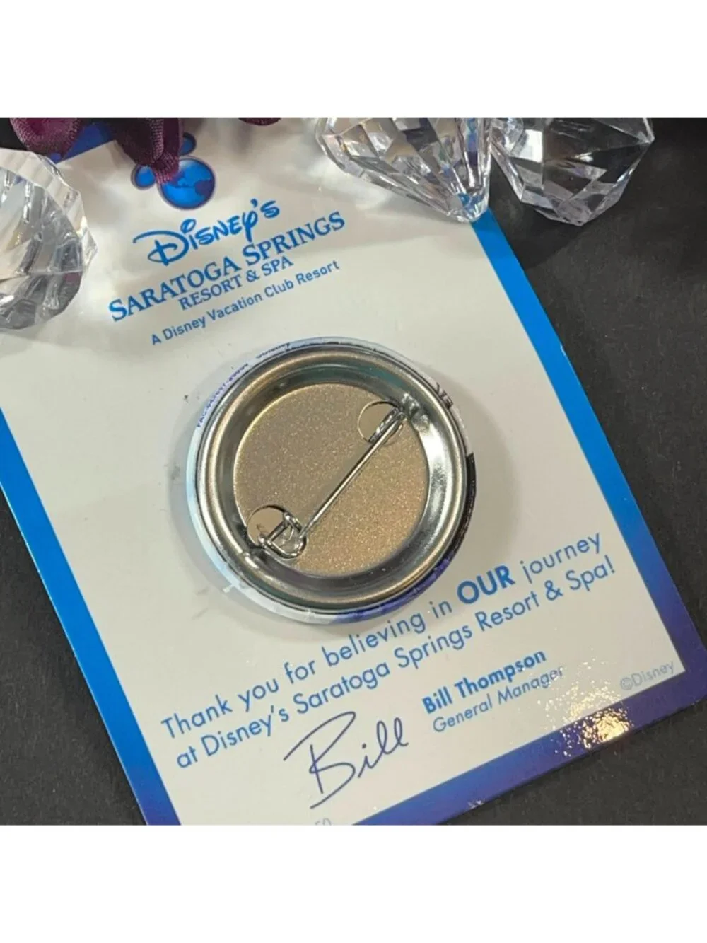 Frozen 2 Disney Lapel Pin Saratoga Springs Resort Elsa Ana Pin Brooch Button Pin